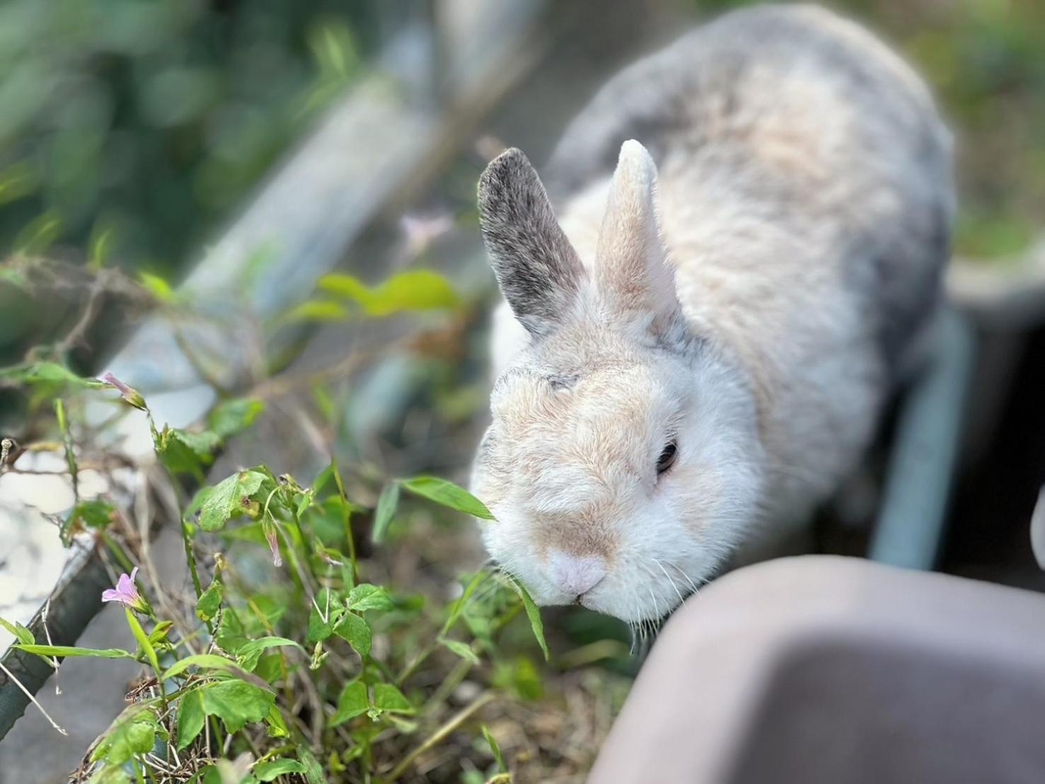 Jiufen Back Yard Homestay 외부 사진